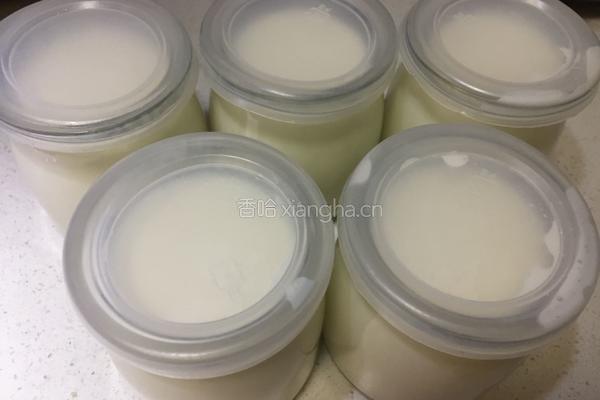 自制电饭煲酸奶的做法图解6