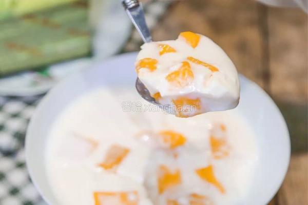 芒果木瓜牛奶新西兰花胶冻的做法图解7