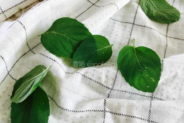 蜂蜜薄荷饮的做法图解2