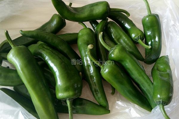 东北辣椒焖子的做法图解4