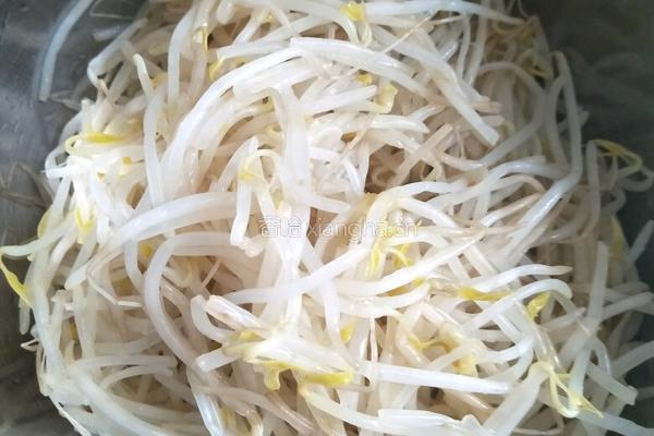凉拌绿豆芽的做法图解4