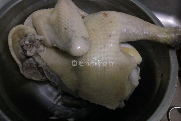 白切鸡的做法图解4