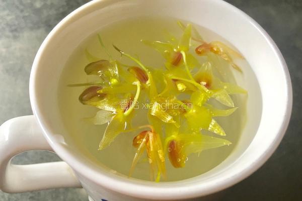 石斛花茶饮的做法图解9