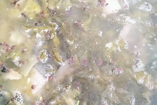 酸菜鱼的做法图解8
