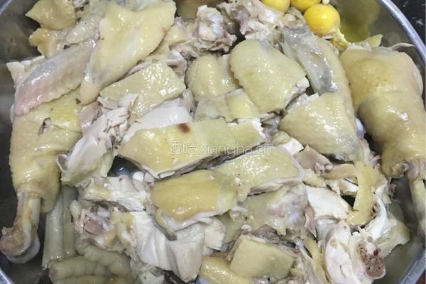 原味隔水蒸鸡的做法图解4