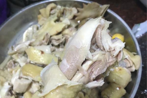 原味隔水蒸鸡的做法图解6
