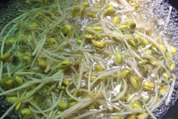 豆芽炒肉的做法图解3