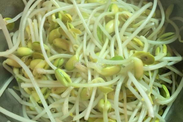 豆芽炒肉的做法图解4