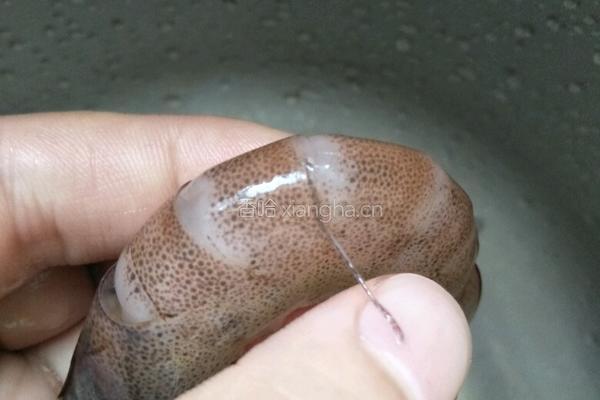 白灼对虾的做法图解2