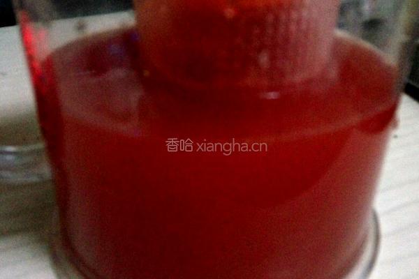 美味西瓜汁（可做冰块）的做法图解5