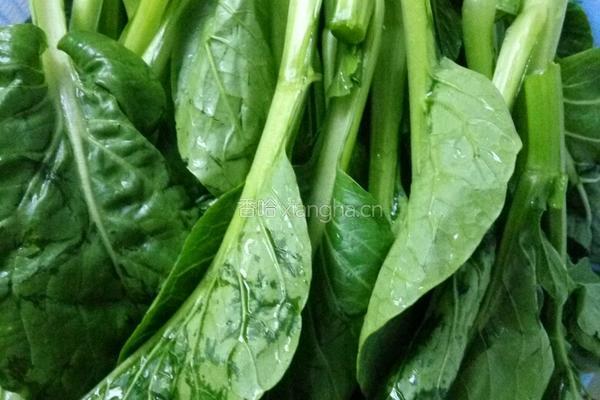 蒜蓉炒油菜的做法图解1