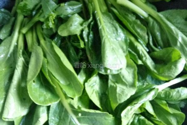 蒜蓉炒油菜的做法图解3