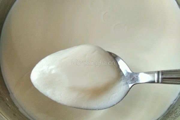 原味酸奶的做法图解5