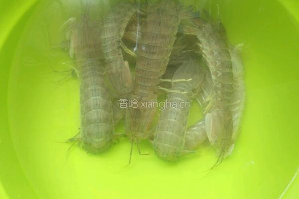 濑尿虾的做法图解1
