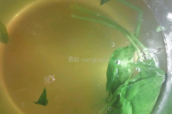 美味的菠菜皮芹菜饺子的做法图解4