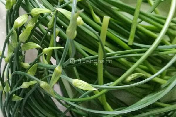 韭菜苔虾仁水饺的做法图解1