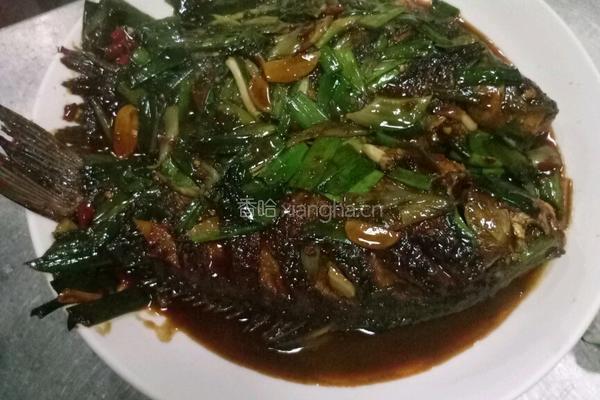 大蒜烧鲫鱼的做法图解9