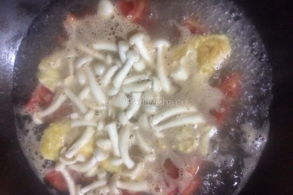 白玉菇猪肝番茄鸡蛋汤的做法图解8