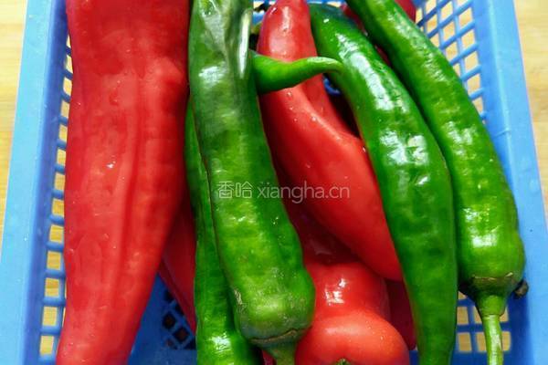 半双椒煎肉的做法图解1