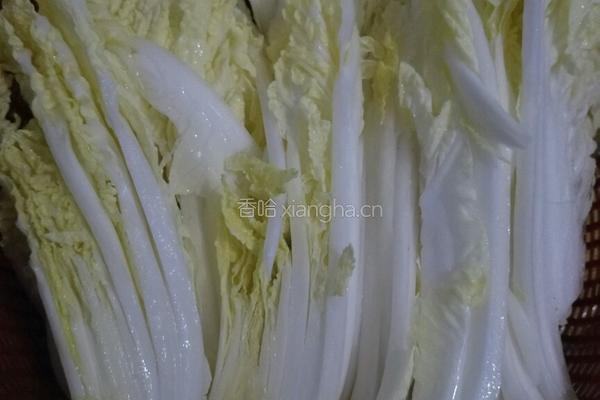蒜香白菜的做法图解1