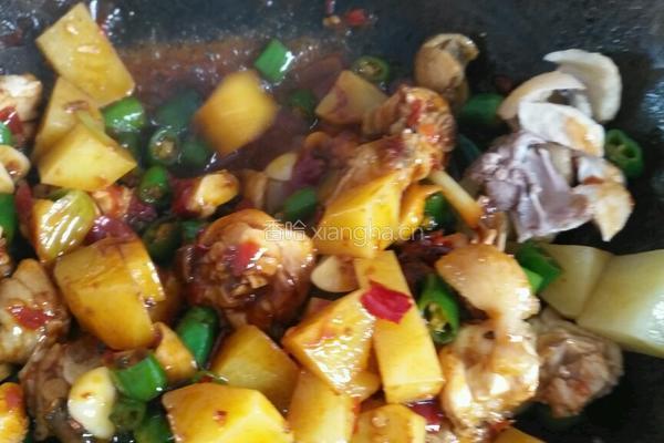 土豆烧鸡的做法图解3
