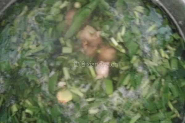 狮子草瘦肉汤的做法图解5