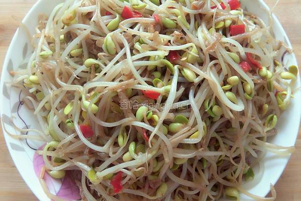 炝炒黄豆芽