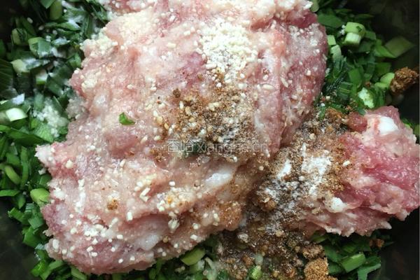 韭菜肉沫饺子的做法图解4