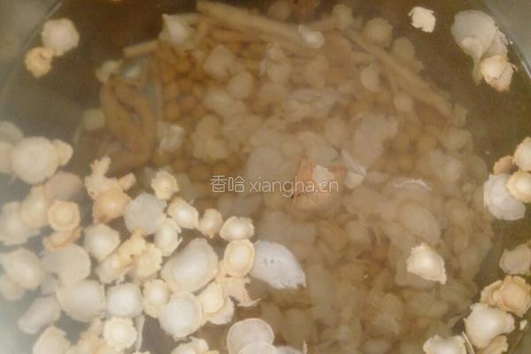 玉竹煲沙参汤的做法图解3