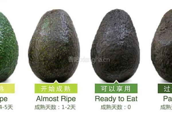 鳄梨酸奶碗的做法图解1