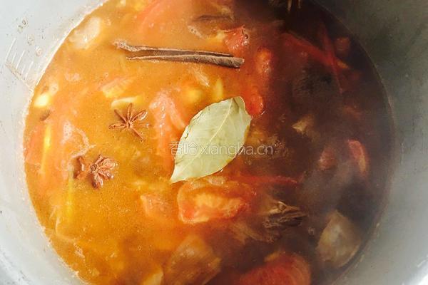 土豆番茄炖牛肉的做法图解18