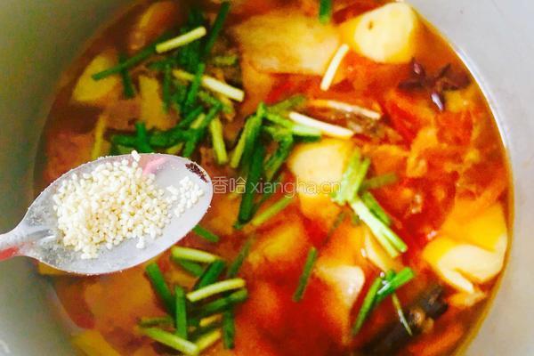 土豆番茄炖牛肉的做法图解21
