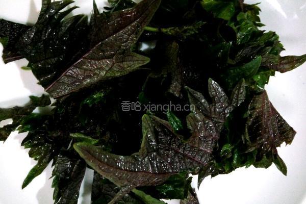 紫苏黄瓜炒肉的做法图解3