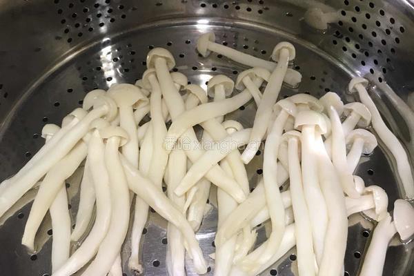 海鲜菇拌鸡腿的做法图解8