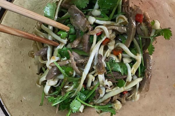 海鲜菇拌鸡腿的做法图解15