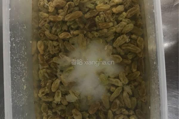 天然葡萄种的做法图解3