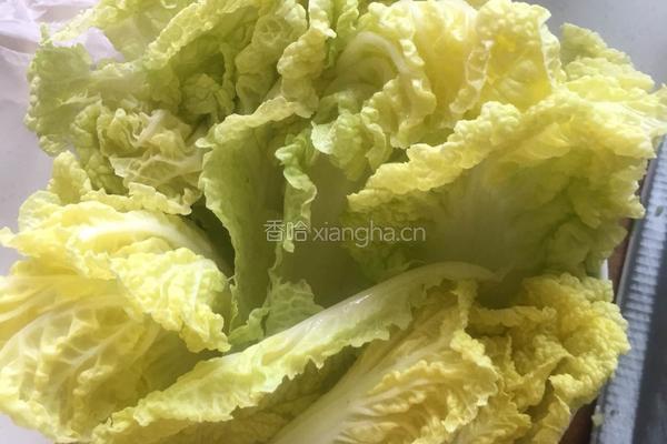 凉拌娃娃菜的做法图解2