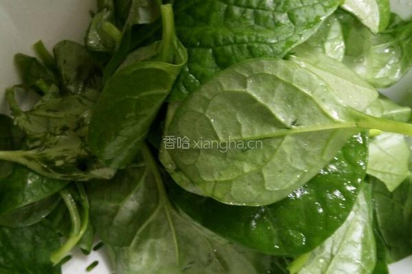 蒜泥蚝油木耳菜的做法图解1