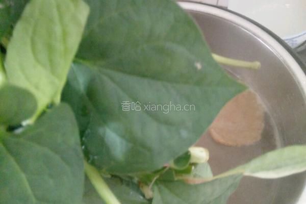 鱼腥草猪展汤的做法图解7