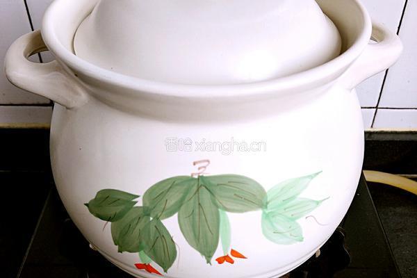 开胃酸梅汤的做法图解4