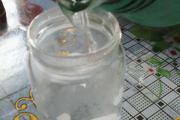 冰镇蜂蜜柠檬水的做法图解1
