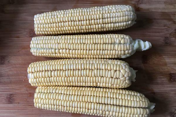 奶香玉米饮的做法图解1