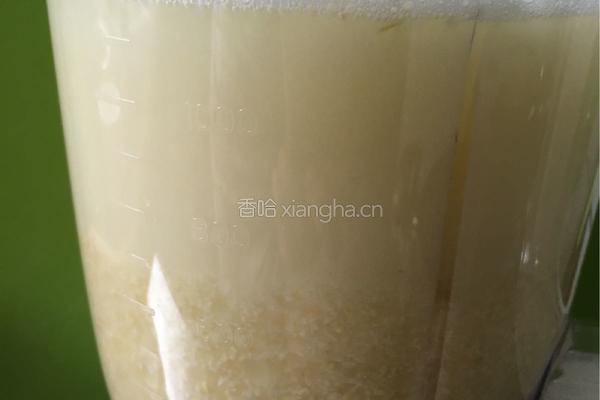 奶香玉米饮的做法图解6