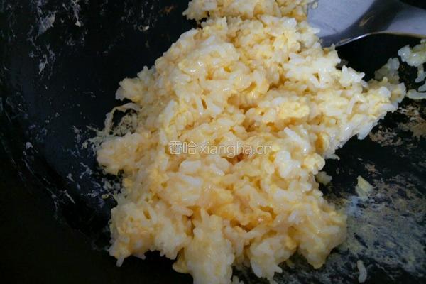 番茄蛋炒饭的做法图解4