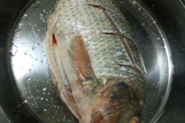 葱油鱼的做法图解1