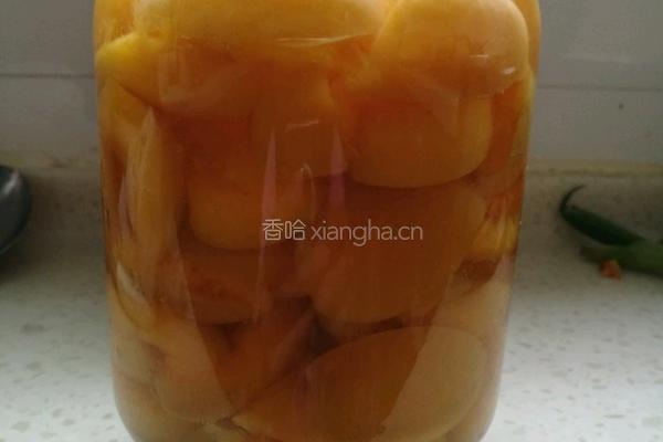 黄杏罐头的做法图解6