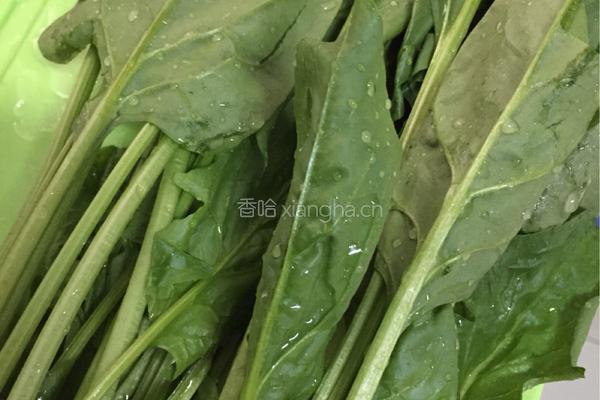 老醋拌菠菜的做法图解2