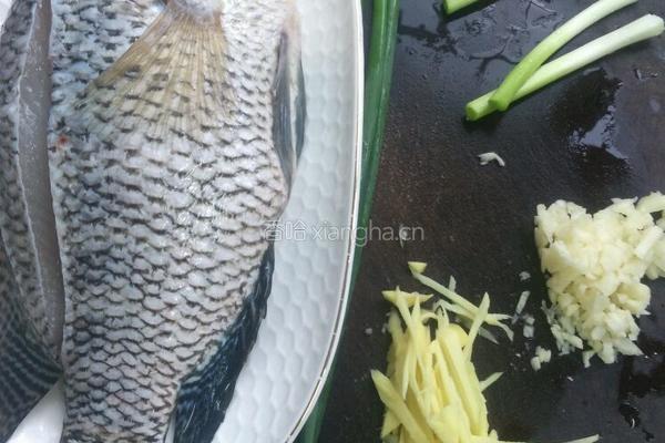 清蒸花斑鱼的做法图解2
