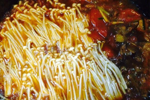 番茄炖牛腩的做法图解5