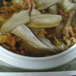 花胶炖白鸽的做法[图]